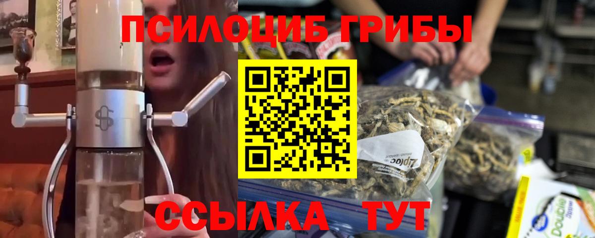Асино  Псилоцибиновые грибы Psilocybe  Вход с VPN  Псилоцибиновые грибы мухоморы 