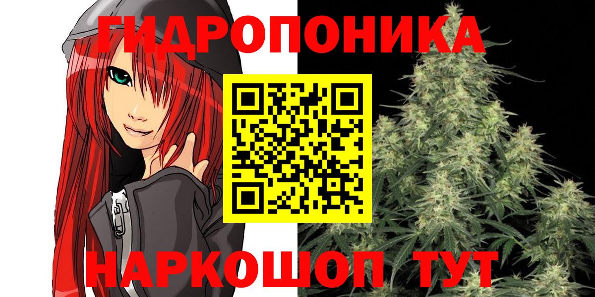 Каннабис ГИДРОПОН Асино